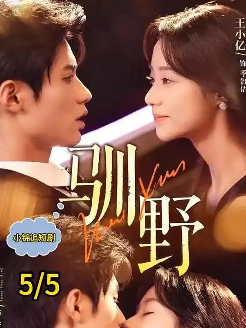 汉江以南 韩剧在线观看